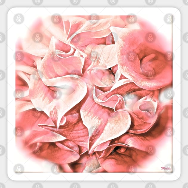 Calla Lily Pink Impression Sticker by Overthetopsm